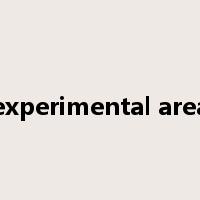 experimental area是什么意思