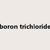 boron trichloride是什么意思