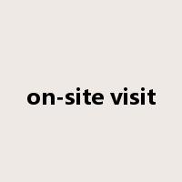 on-site visit是什么意思