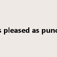 as pleased as punch是什么意思