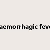 haemorrhagic fever是什么意思