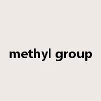 methyl group是什么意思
