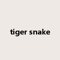 tiger snake是什么意思
