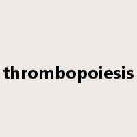 thrombopoiesis是什么意思