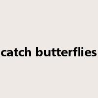 catch butterflies是什么意思