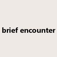 brief encounter是什么意思