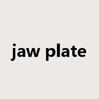 jaw plate是什么意思