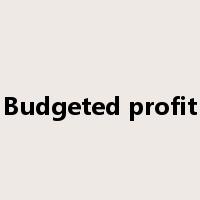 Budgeted profit是什么意思