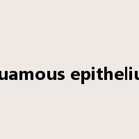 squamous epithelium是什么意思