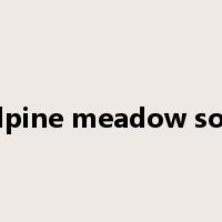 alpine meadow soil是什么意思