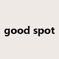good spot是什么意思