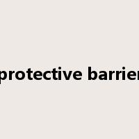 protective barrier是什么意思