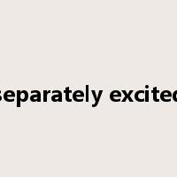 separately excited是什么意思
