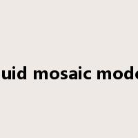 fluid mosaic model是什么意思