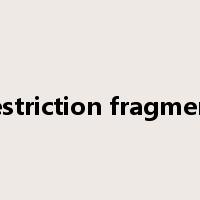 restriction fragment是什么意思