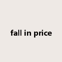 fall in price是什么意思