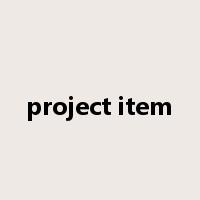 project item是什么意思