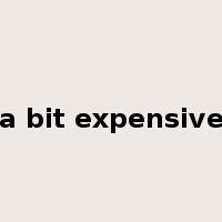 a bit expensive是什么意思