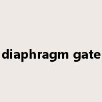 diaphragm gate是什么意思