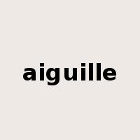 aiguille是什么意思
