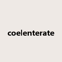 coelenterate是什么意思