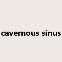 cavernous sinus是什么意思