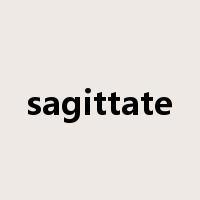 sagittate是什么意思