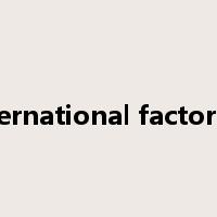 international factoring是什么意思