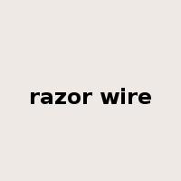 razor wire是什么意思