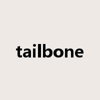tailbone是什么意思