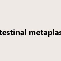 intestinal metaplasia是什么意思