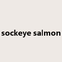 sockeye salmon是什么意思