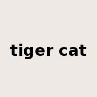 tiger cat是什么意思