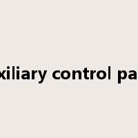 auxiliary control panel是什么意思