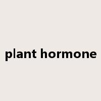 plant hormone是什么意思