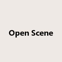 Open Scene是什么意思