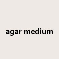 agar medium是什么意思
