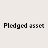Pledged asset是什么意思