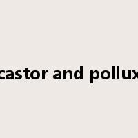 castor and pollux是什么意思