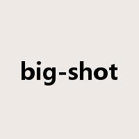 big-shot是什么意思