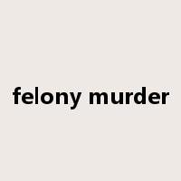 felony murder是什么意思