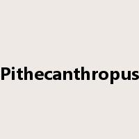 Pithecanthropus是什么意思
