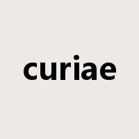 curiae是什么意思