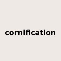 cornification是什么意思