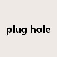 plug hole是什么意思