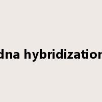 dna hybridization是什么意思