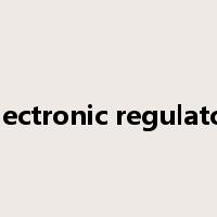electronic regulator是什么意思