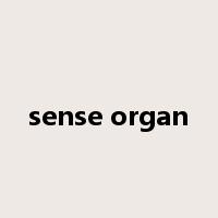 sense organ是什么意思