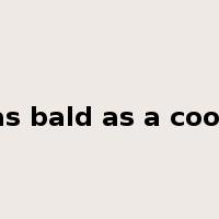 as bald as a coot是什么意思