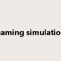 gaming simulation是什么意思